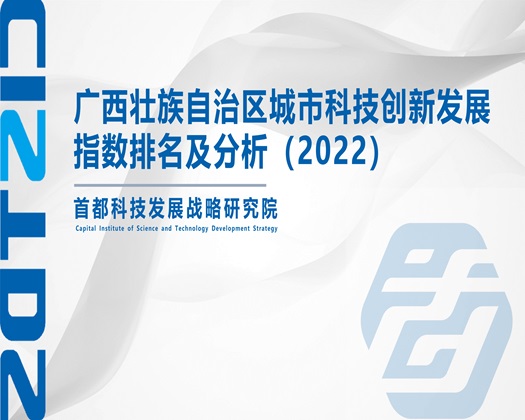 大鸡巴操骚妣视频【成果发布】广西壮族自治区城市科技创新发展指数排名及分析（2022）